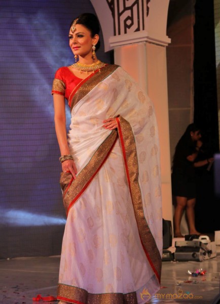 Models Saree Fashion Show Photos