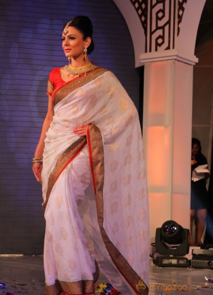 Models Saree Fashion Show Photos