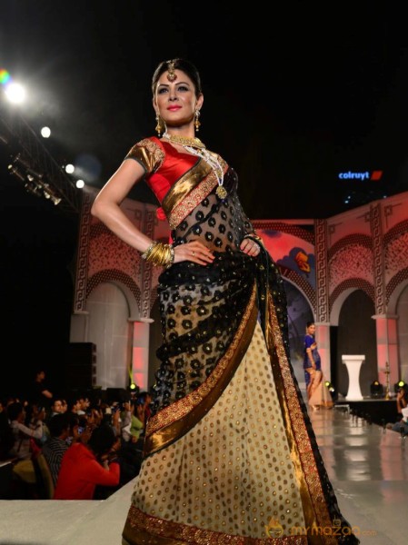 Models Saree Fashion Show Photos