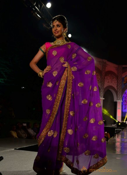 Models Saree Fashion Show Photos