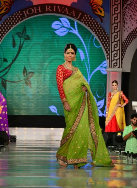 Models Saree Fashion Show Photos