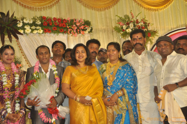 Senthil Son Wedding Reception Gallery 