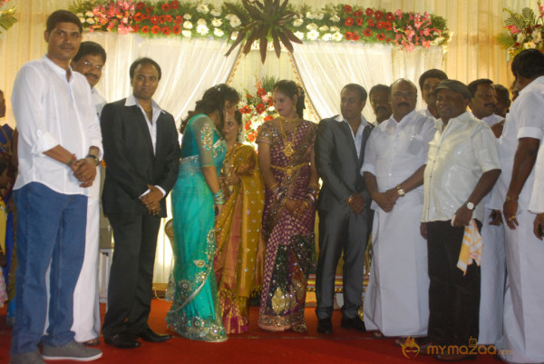 Senthil Son Wedding Reception Gallery 