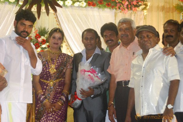 Senthil Son Wedding Reception Gallery 