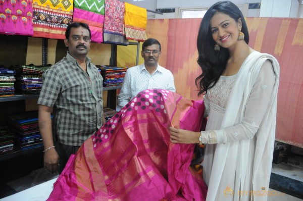 Subhra Ayyappa At Pochampally ikatart mela