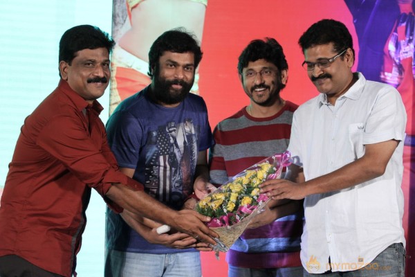 TanuMonne Vellipoyindi Audio Launch Photos