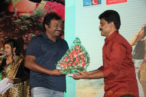 TanuMonne Vellipoyindi Audio Launch Photos