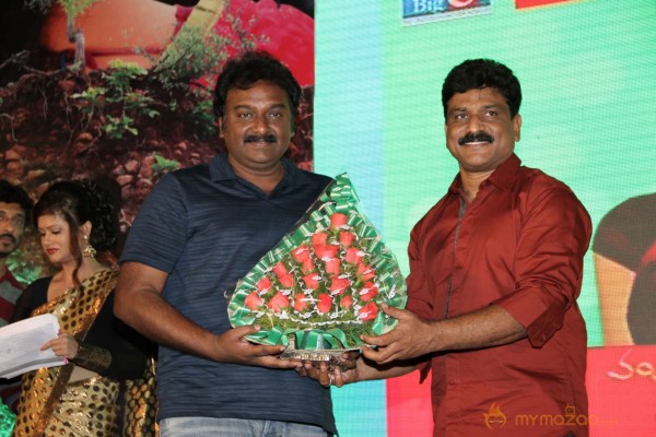 TanuMonne Vellipoyindi Audio Launch Photos