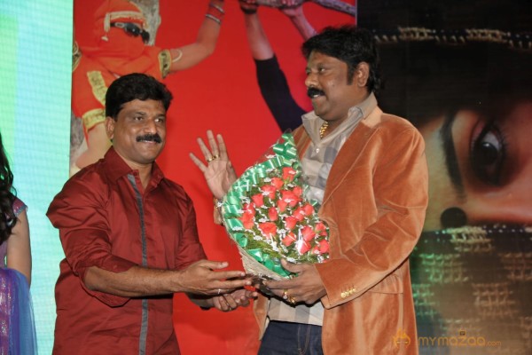 TanuMonne Vellipoyindi Audio Launch Photos