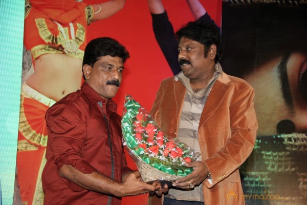 TanuMonne Vellipoyindi Audio Launch Photos