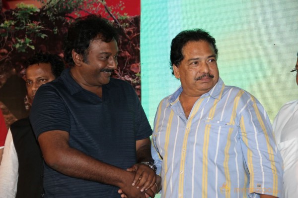 TanuMonne Vellipoyindi Audio Launch Photos