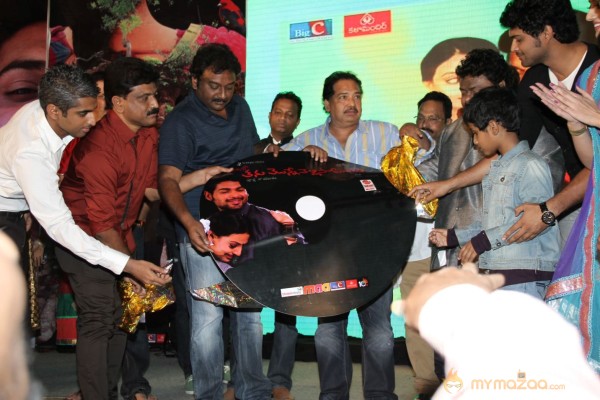 TanuMonne Vellipoyindi Audio Launch Photos