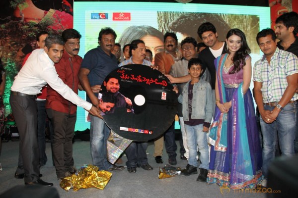 TanuMonne Vellipoyindi Audio Launch Photos