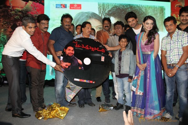 TanuMonne Vellipoyindi Audio Launch Photos