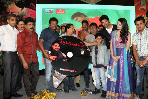 TanuMonne Vellipoyindi Audio Launch Photos