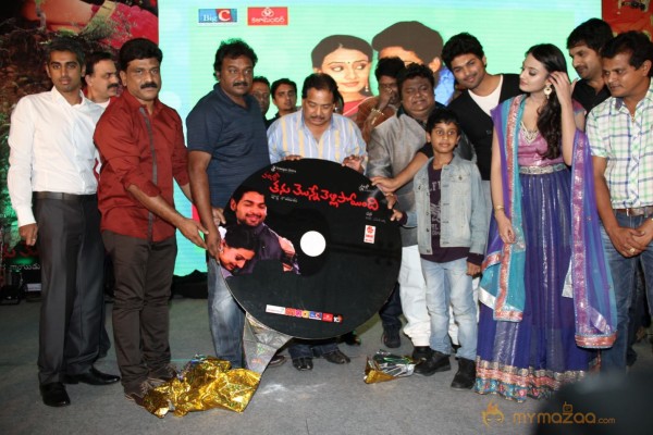 TanuMonne Vellipoyindi Audio Launch Photos