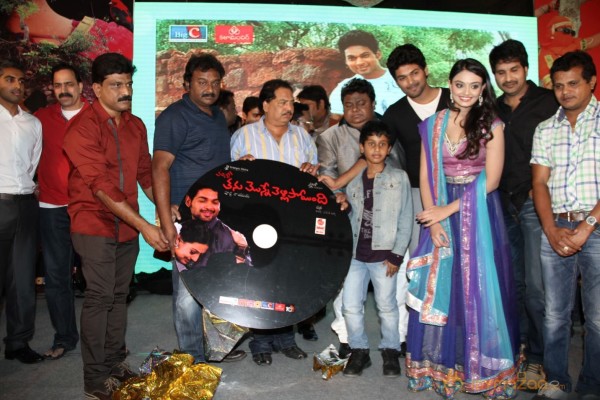 TanuMonne Vellipoyindi Audio Launch Photos