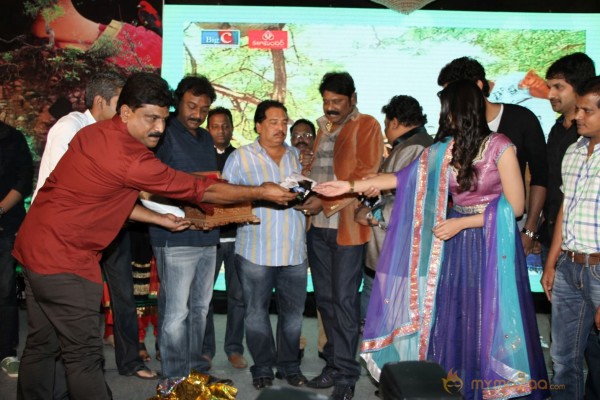 TanuMonne Vellipoyindi Audio Launch Photos