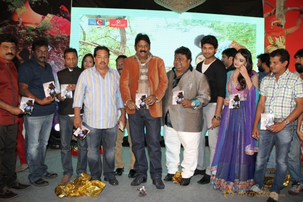 TanuMonne Vellipoyindi Audio Launch Photos