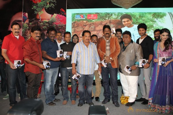 TanuMonne Vellipoyindi Audio Launch Photos