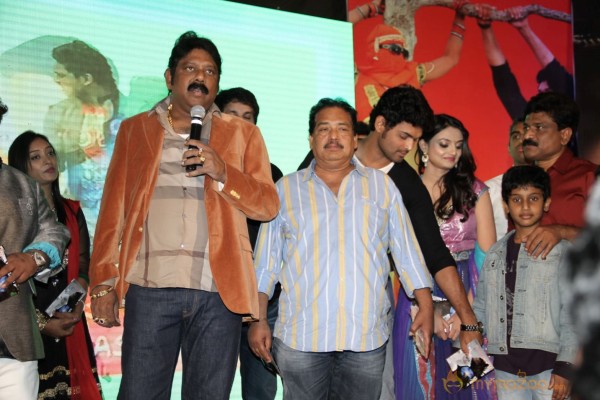 TanuMonne Vellipoyindi Audio Launch Photos