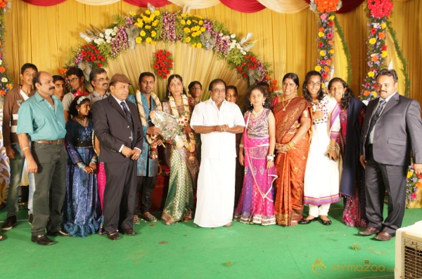 Thambi Ramaiah Daughter Wedding Reception Gallery 