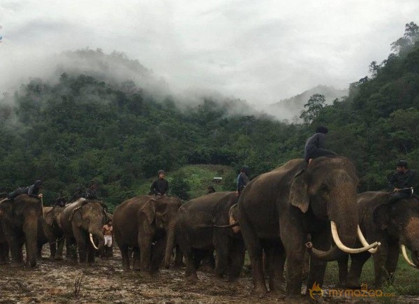 Arya Kadamban Movie Latest Stills