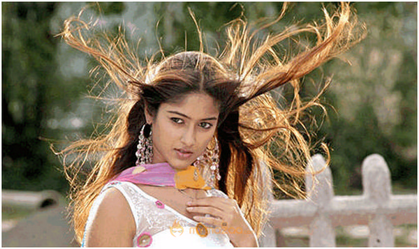 Ileana  Hot Photshoot