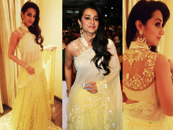 Indian beauties In Traditional Avatar — photo 11