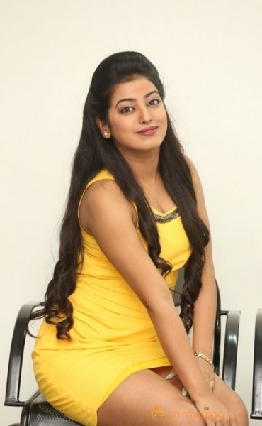 Tarunika Latest  Photos