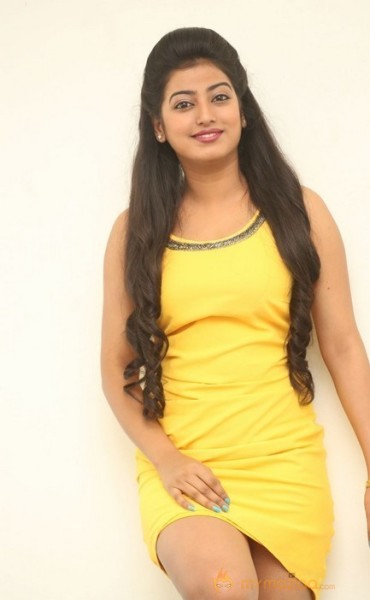 Tarunika Latest  Photos