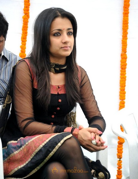 Trisha Latest Pic