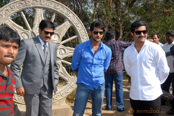 Aaadi New Movie Launch Photos