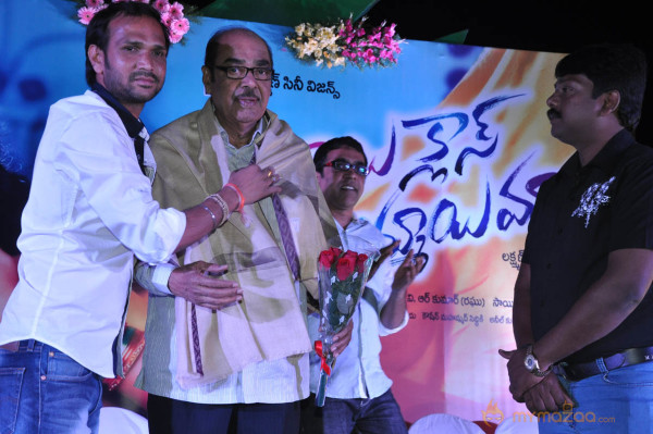 Abbai Class Ammai Mass Movie Audio Launch Gallery 