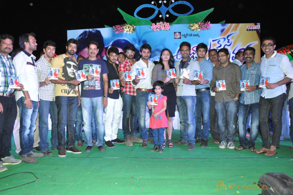 Abbai Class Ammai Mass Movie Audio Launch Gallery 