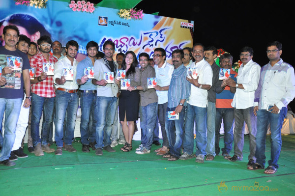 Abbai Class Ammai Mass Movie Audio Launch Gallery 