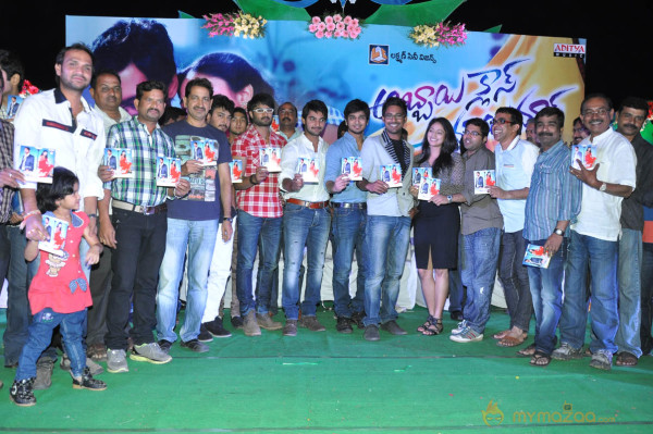 Abbai Class Ammai Mass Movie Audio Launch Gallery 