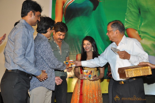 April Fool Movie Audio Launch Gallery 