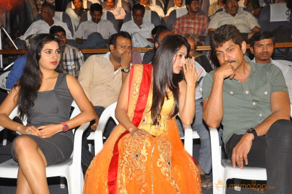 April Fool Movie Audio Launch Gallery 