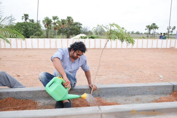 Baahubali Team participated in Haritha Haram Program | Prabhas, Rana and SS Rajamouli