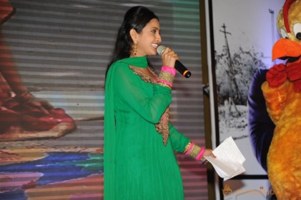 Bangaru Kodipetta Audio Launch Photos