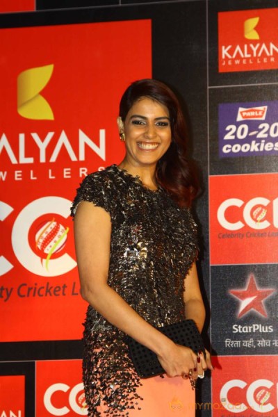 Celebrity Cricket League 3 Curtain Raiser Event Gallery 