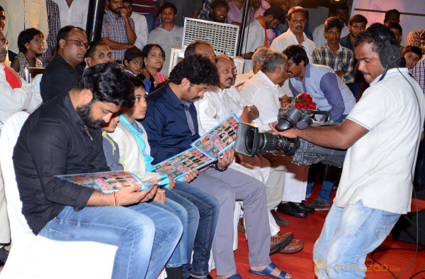  Daana Veera Soora Karna Movie Audio Launch  — photo 10