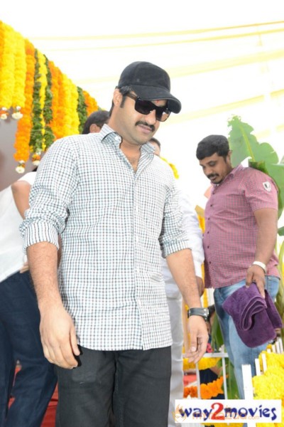 Jr.NTR Production No 3 New Movie Launch  — photo 81