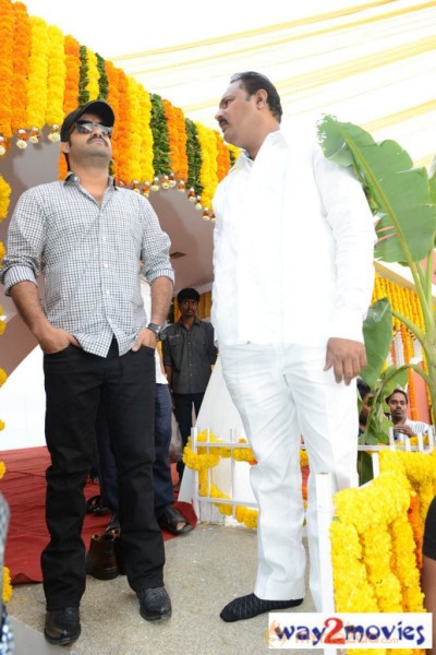 Jr.NTR Production No 3 New Movie Launch  — photo 75