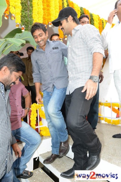 Jr.NTR Production No 3 New Movie Launch  — photo 52