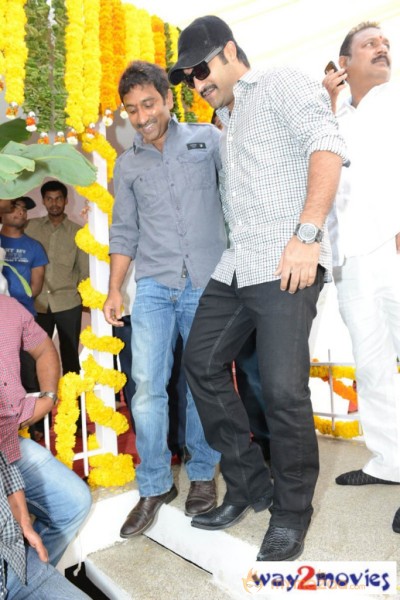 Jr.NTR Production No 3 New Movie Launch  — photo 3
