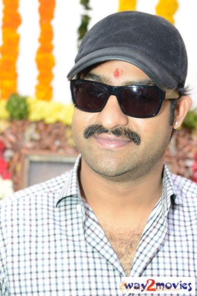 Jr.NTR Production No 3 New Movie Launch  — photo 85