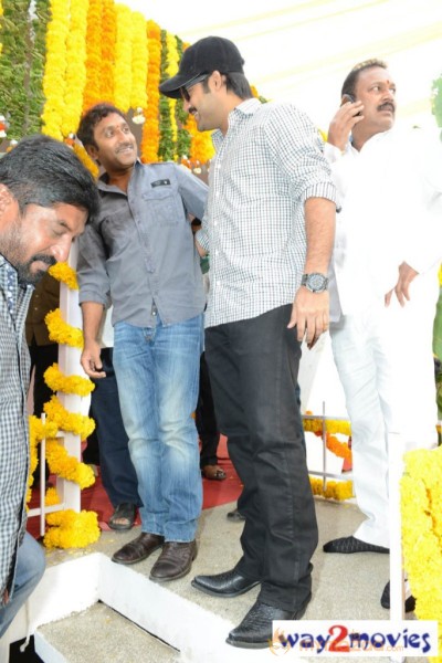 Jr.NTR Production No 3 New Movie Launch  — photo 28