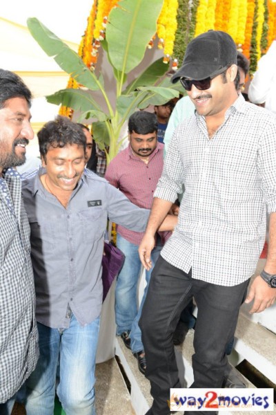Jr.NTR Production No 3 New Movie Launch  — photo 27